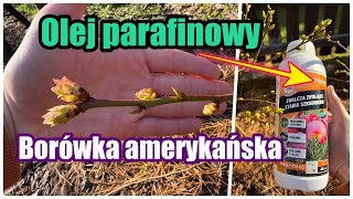 Olej Parafinowy Na Borówkę Amerykańską