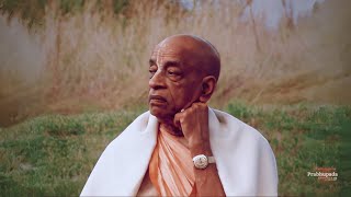 Download Lagu Srila Prabhupada - You are not this body (4K, Enhanced) Download Lagu Srila Prabhupada - You are not this body (4K, Enhanced)