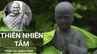 Thiên Nhiên Tâm   Thiền sư Ajahn Chah