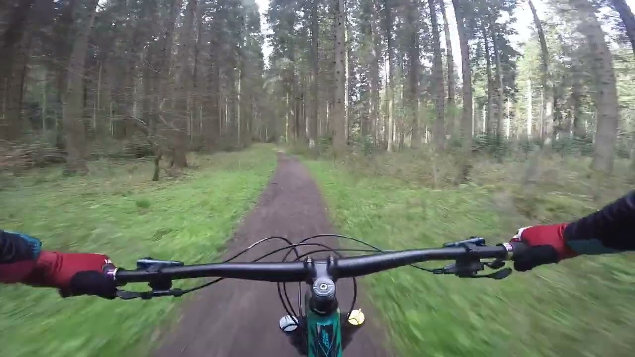 How do i find the Hamsterley Red MTB Trails???? Polty's, K-line, Transmission, accelerator, Nitrous