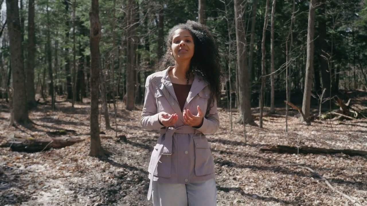 Ce qui fait miroir au paysage