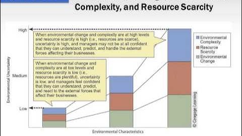 Chapter 3 - Org Environment and Culture