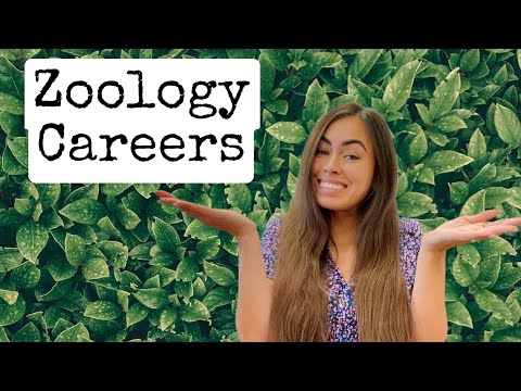 Zoology Degree Career Paths - what can you do with your degree?