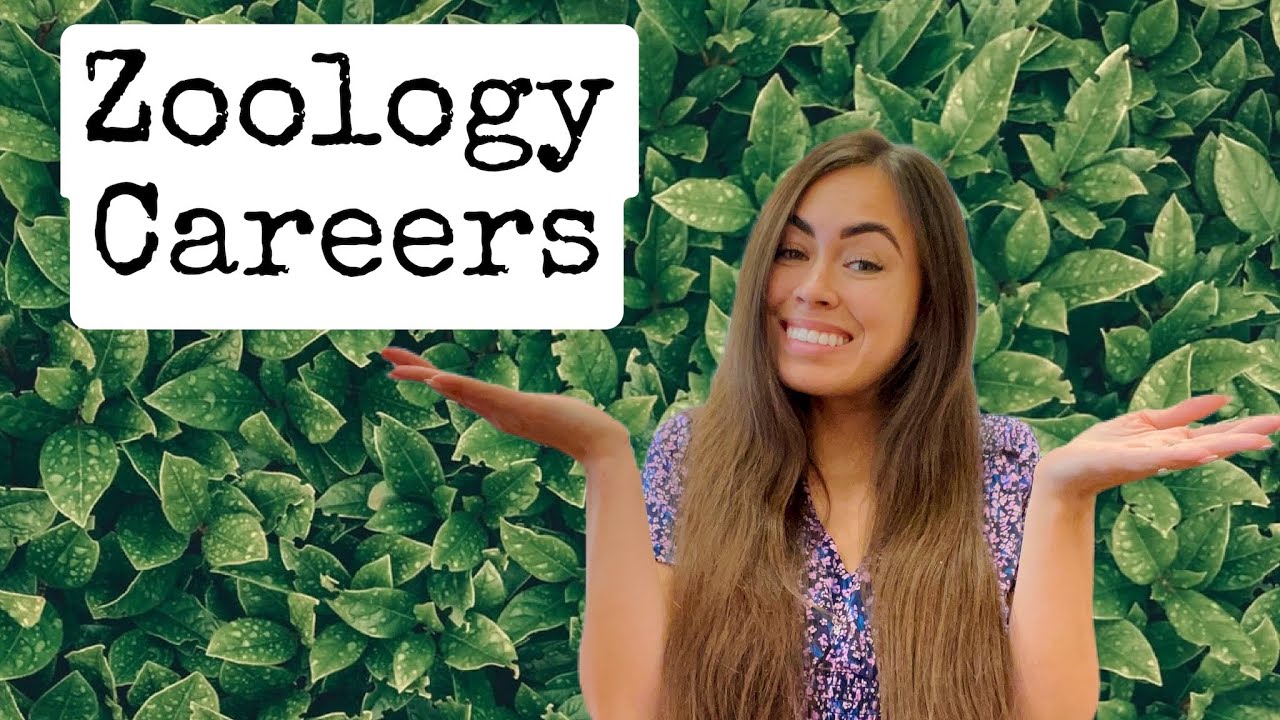 Possible Careers For A Degree In Zoology, Jobs EcityWorks