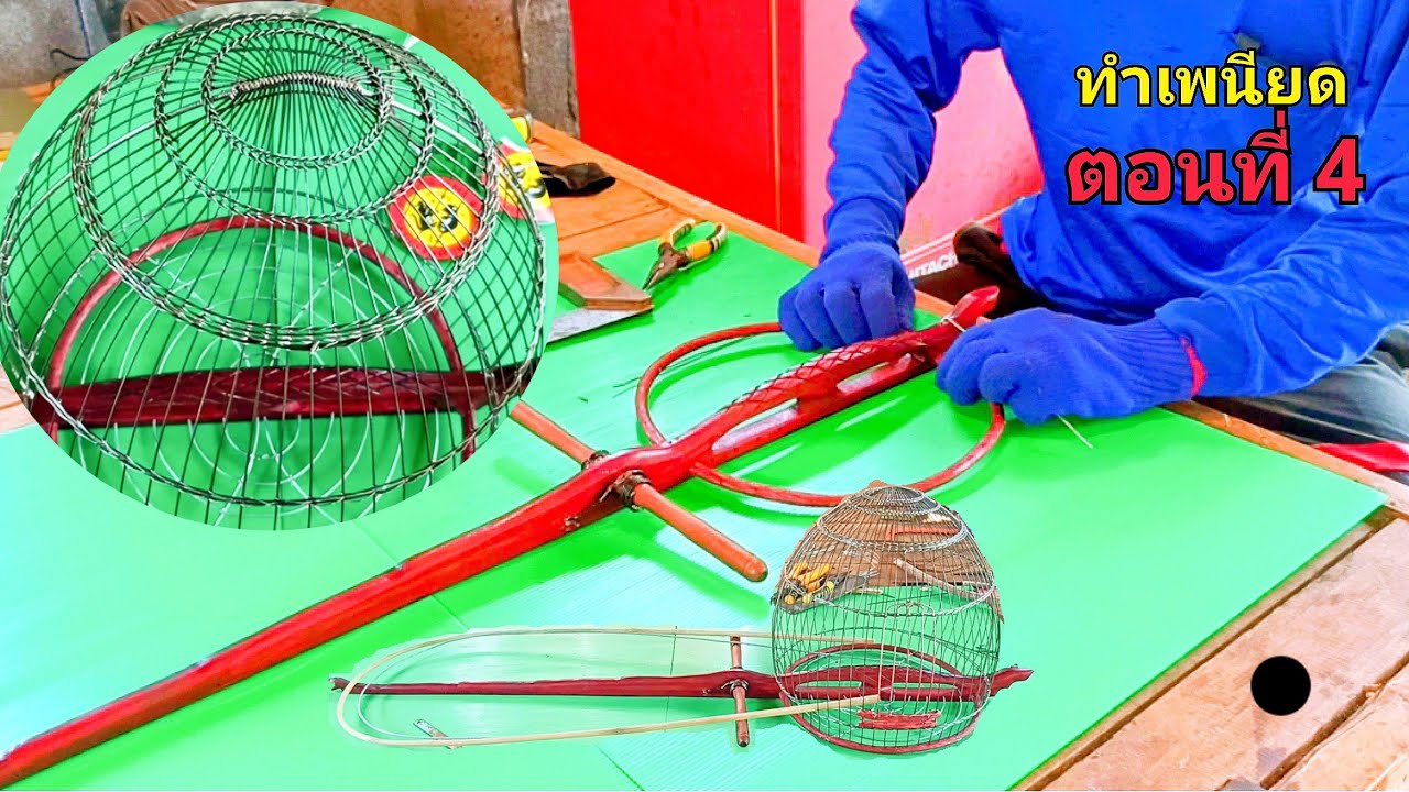 พาทำเพนียดต่อนกเขาใหญ่อกไม้ขนุน ตอนที่4 ทำกรงเพนียดถักลายจูงนาง
