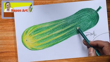 (সহজে শশা আঁকা) How to Draw a Cucumber step by step with colors | How to Draw cucumber very easy
