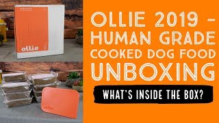 Ollie Dog Food Unboxing - What's Inside The Box 2019 by Experiences With My Dog 2,443 views 4 years ago 3 minutes, 49 seconds