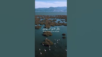 وَاذْكُرْ رَبَّكَ إِذَا نَسِيتَ – تلاوة تهز القلب بصوت المنشاوي