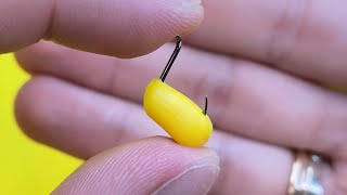 You've always done it WRONG. Cool life hack how to plant corn on a hook. fishing 2023. 4k