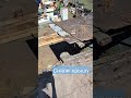 Купила старый домик/Меняем крышу/Вид сверху #домвдеревне #деревня #крыша #дом #мой #лес #лето #дача