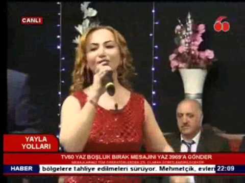 SALİHA ASLAN, AMASYANIN YOLLARI