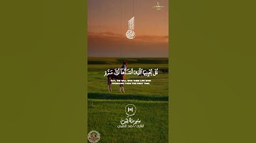 "وَنَسِيَ خَلْقَهُ" | تلاوة تلامس القلوب من سورة يس بصوت أحمد النفيس #viralvideo