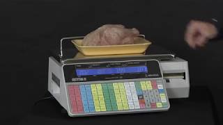 Astra II Retail Scale PLU Demonstration