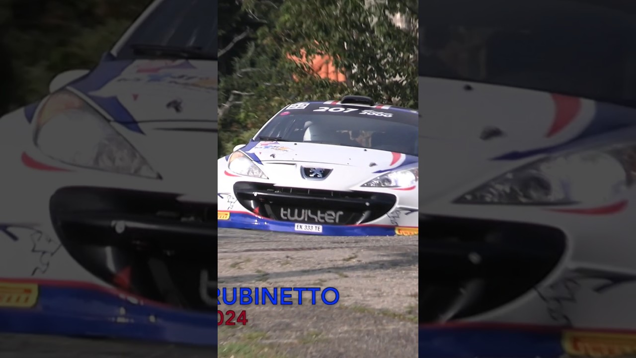 RALLY DEL RUBINETTO 2024 - PEUGEOT 207 SUPER 2000 TWISTER CORSE 