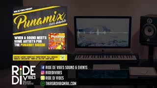 Ride De Vibes present - The Punamix - 100% Dubplate