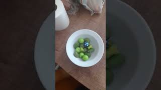 18 Nisan 2024 Resimi