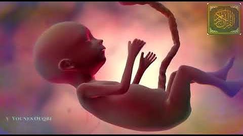 ولقد خلقنا الانسان من صلصال : تلاوة عطرة مباركة