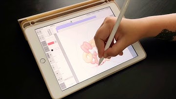 Frame-by-frame animation in RoughAnimator app on ipad2018
