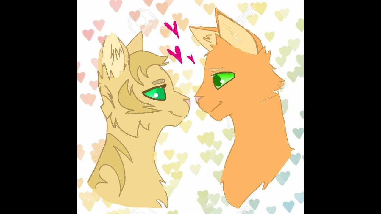 Коты воители картинки огнезвезд и песчаная буря