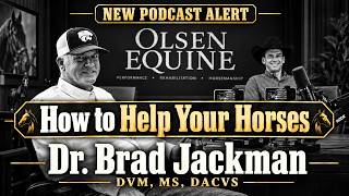 What Your Horse Is Trying to Tell You—And Why Most Owners Miss It