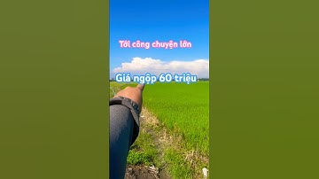 Kẹt tiền bán gấp miếng đất ruộng mặt tiền đường dal giá 60 triệu/1000m2