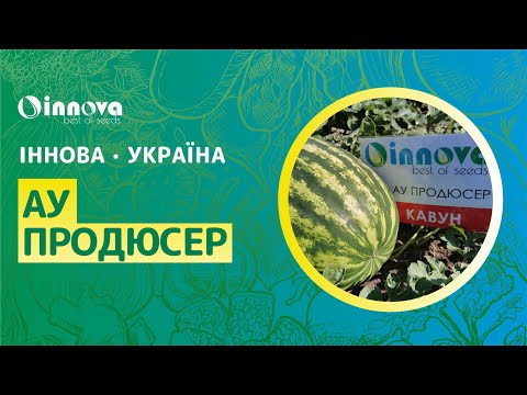 АУ Продюсер
