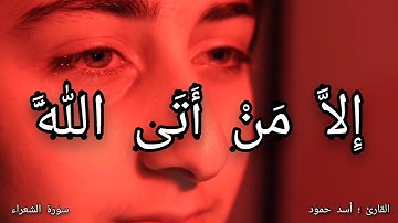 تلاوة | تفطر القلب | القارئ اسد حمود