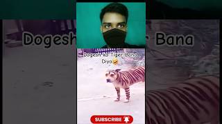 Dogesh Bhai ke Sath Bura hua #funnyvids #funnybaby #funnyfall #dogvideo #animallovers