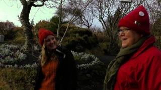Huldufolk: The Hidden People Official Trailer