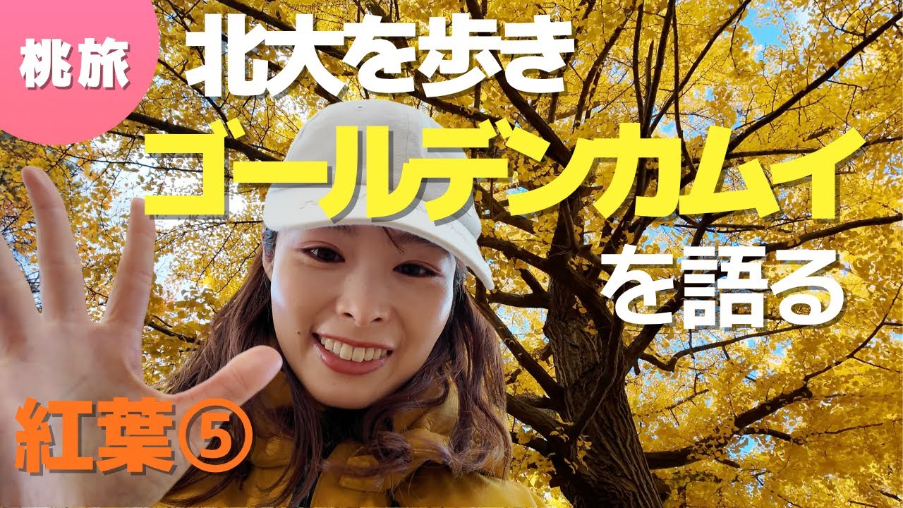 【紅葉⑤】北大のイチョウ並木でゴールデンカムイへの思いの丈を♡｜Talking About Golden Kamuy at Hokkaido University's Ginkgo Avenue🍁