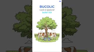 SAT Vocabulary #0017: BUCOLIC (Meaning   Memory Trick)