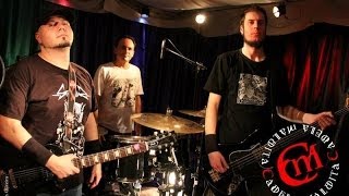 Cadela Maldita - Purple Label