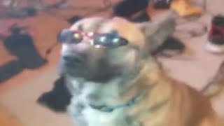 WORLD OF MEMES COMPILATION V7