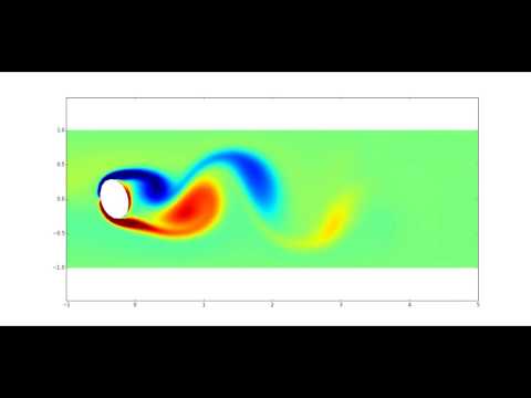 Navier-Stokes Simulation
