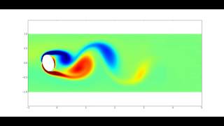Navier-Stokes Simulation Profile
