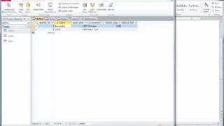 Famous BMIS   Ch 3 Access Assignment Part 3   creating queries Net Worth