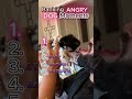 Ranking Angriest Puppies You Have to See! 😡🐶#puppies #angrypuppies