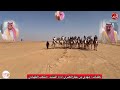 شلة مهرجان محافظة شروره الشتوي 2025 