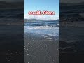 SEASIDE PITONE LOWER HUTT