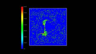CompuCell3D: A Multiscale Tissue Simulation Software