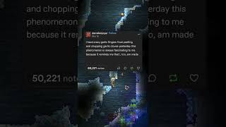 garlic fingies #tumblr #tumblrpost #tumblrvideos #tumblrreads #tumblrfunny #terraria #terrariamusic