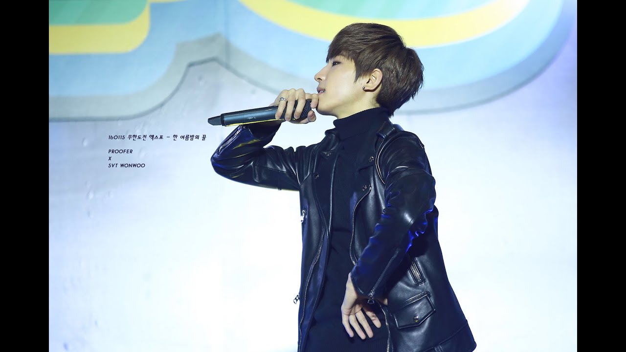 160115 무한도전 엑스포 세븐틴 원우 - 한 여름밤의 꿀