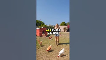 XRP vs Ethereum: Which One Do You Prefer? #xrp #ethereum