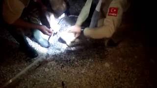 Ereğli İvriz Barajı Sazan Avımız Part 2 / #sazanavı #ivrizbarajı