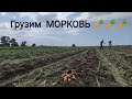 Едем грузить 🥕 МОРКОВЬ