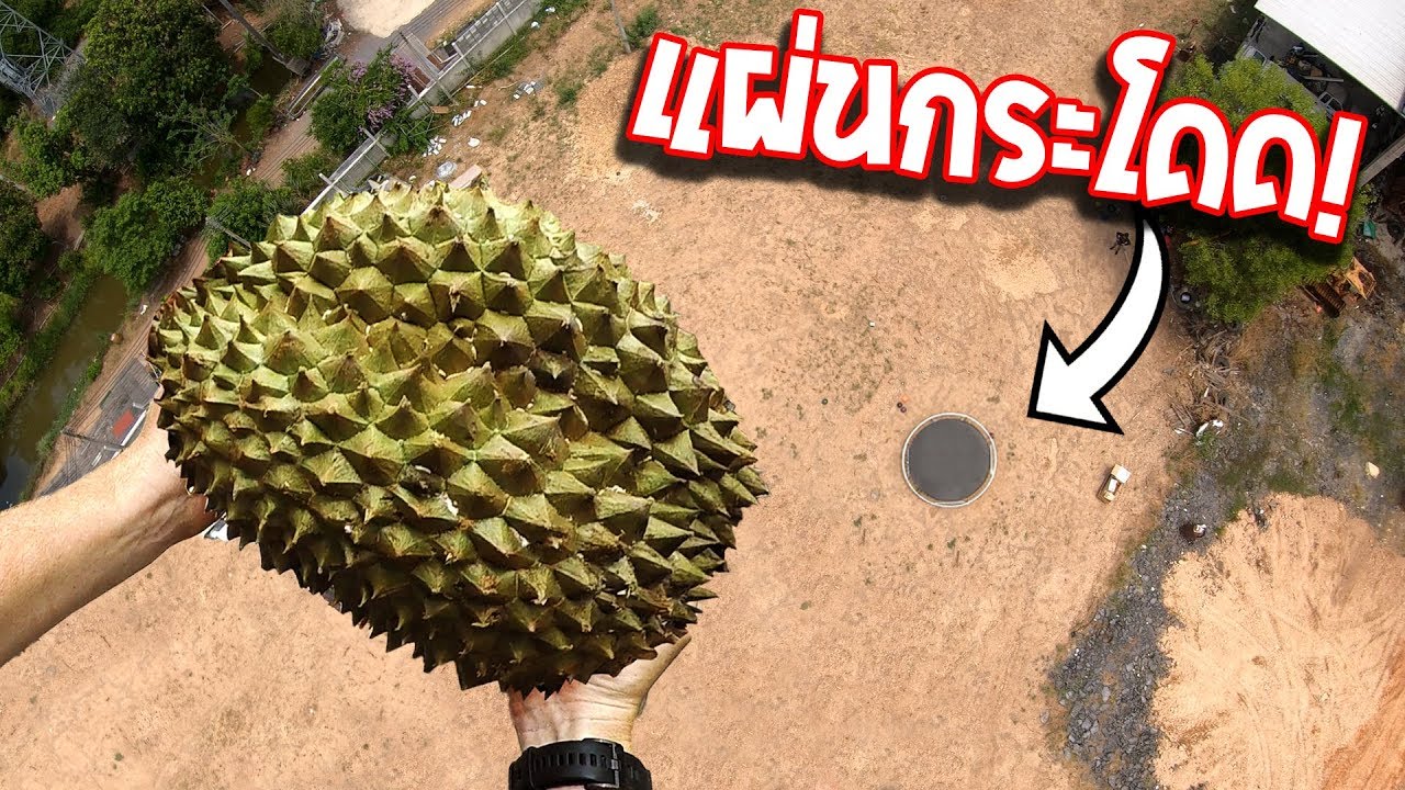 โยนทุเรียนใส่แผ่นกระโดด!!! โคตรสูง โคตรเสียว!!!!!