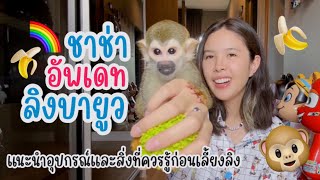 ชาช่าอัพเดทลิงบายูว & แนะนำคนอยากเลี้ยงลิง 🐵🌈🍌