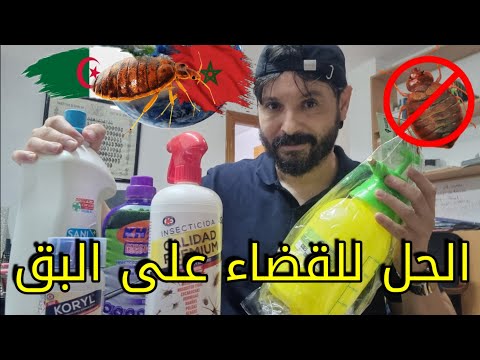 أقوى المنتوجات للقضاء على البق وكل الحشرات بأسهل الطرق البق دخل للجزائر والمغرب