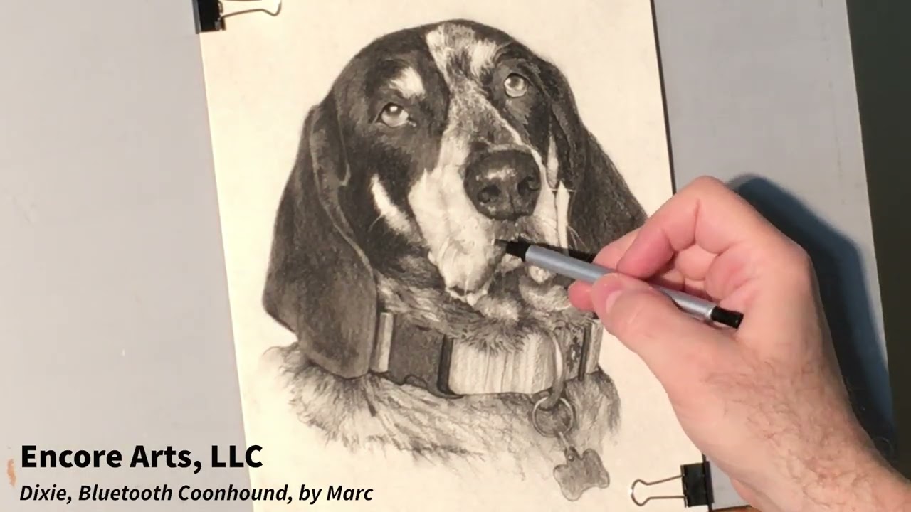 Drawing Dixie, a Bluetick Coonhound, by Marc (Encore Arts, LLC)