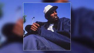 [SOLD] Snoop Dogg Type Beat - "Drive By" | Hard G Funk Type Beat | West Coast Instrumental